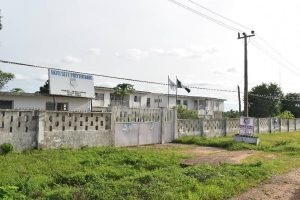gallery-3